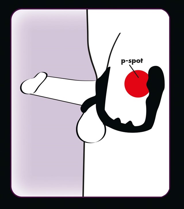 Cock Ring And Plug