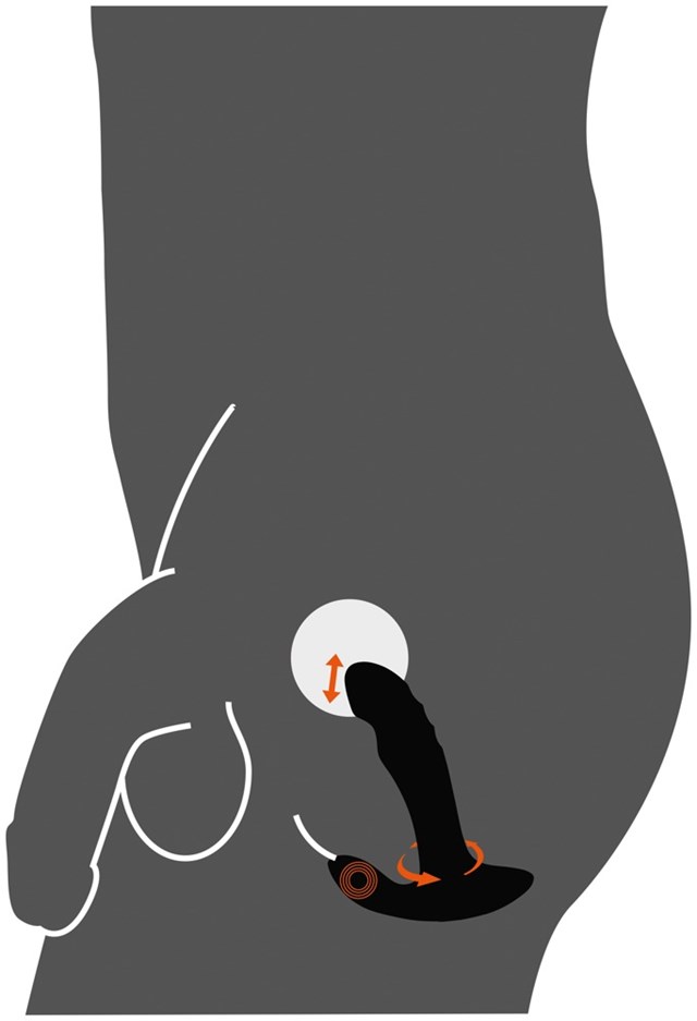 Anal Plug med Perineum-stimulator