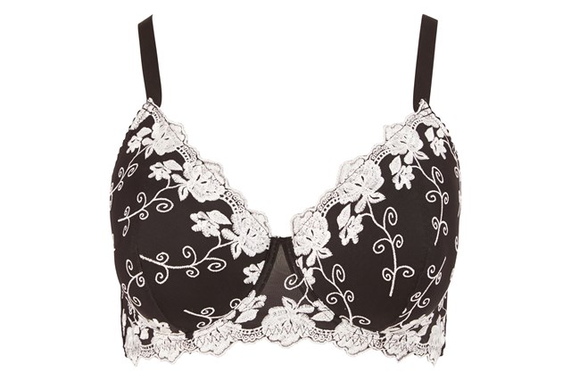 Big Size Bra With Luxe Embroidery