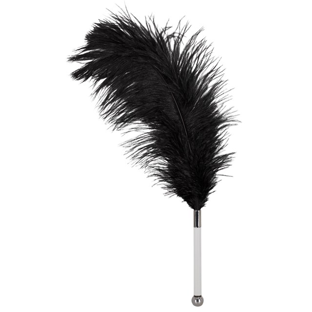 Feather Wand