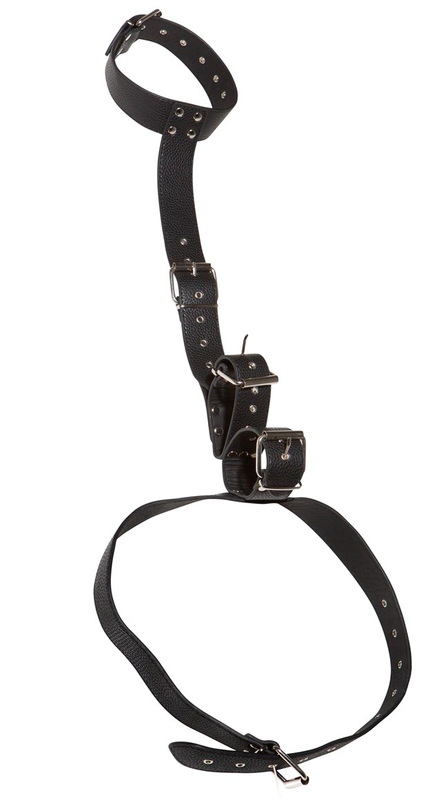 Neck and Hand Restraints
