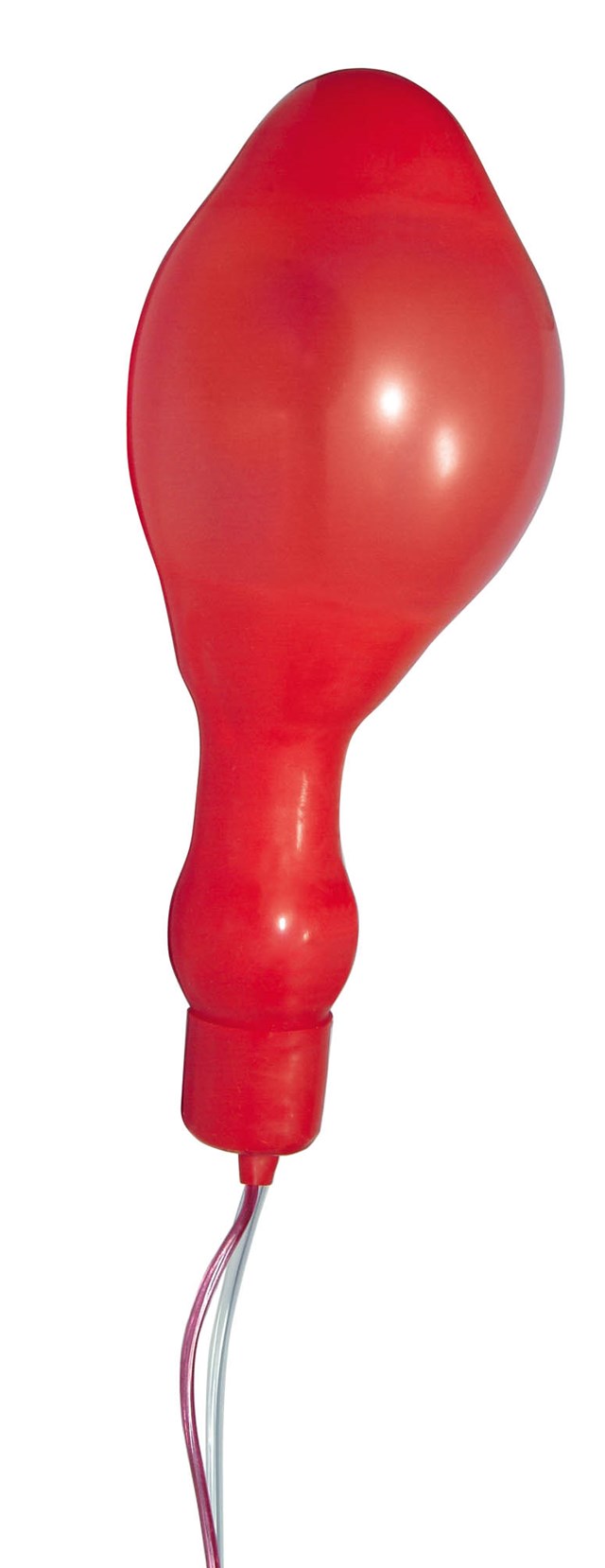 Red Unisex Zeppelin