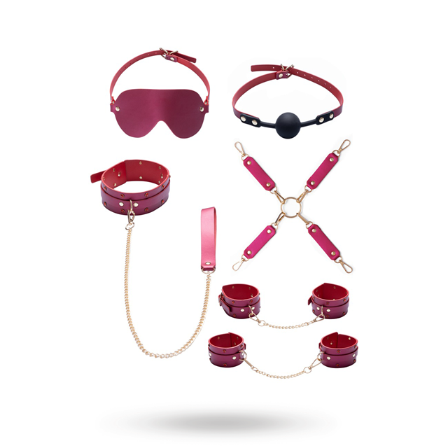 6-piece bondage set