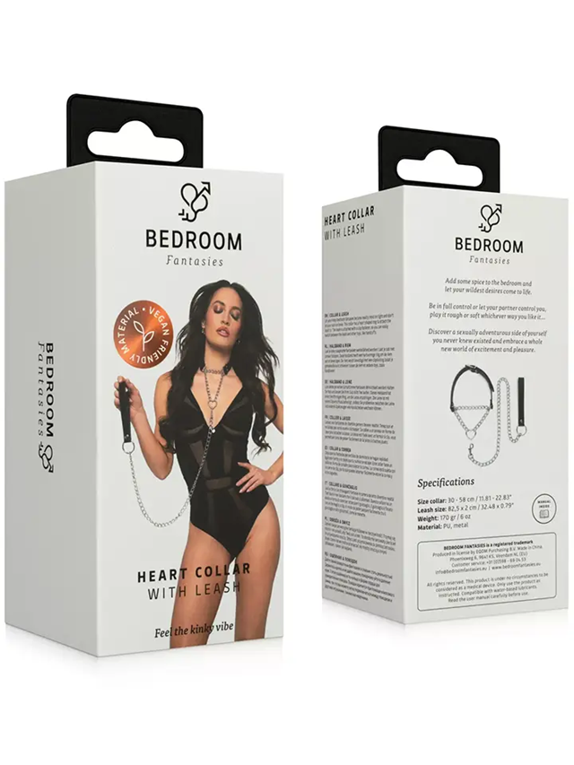 Collar With Chain Silver