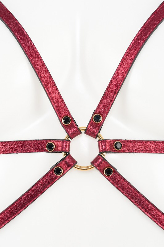 Cherry Playsuit Sele Bondagesæt