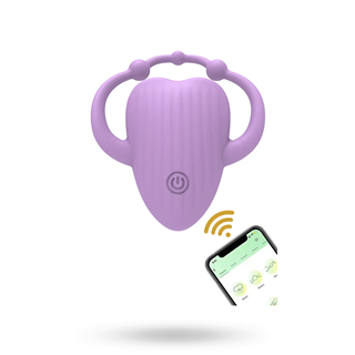 Discreet App-controlled Vibrator