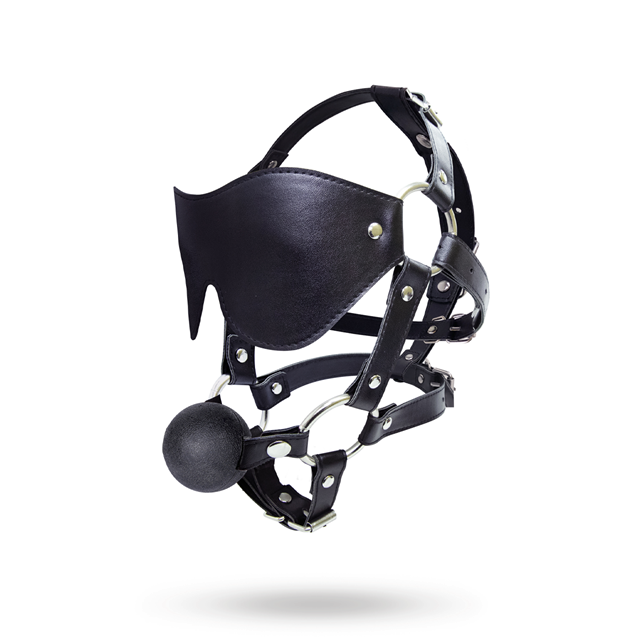 Eye Mask Harness With Ball Gag