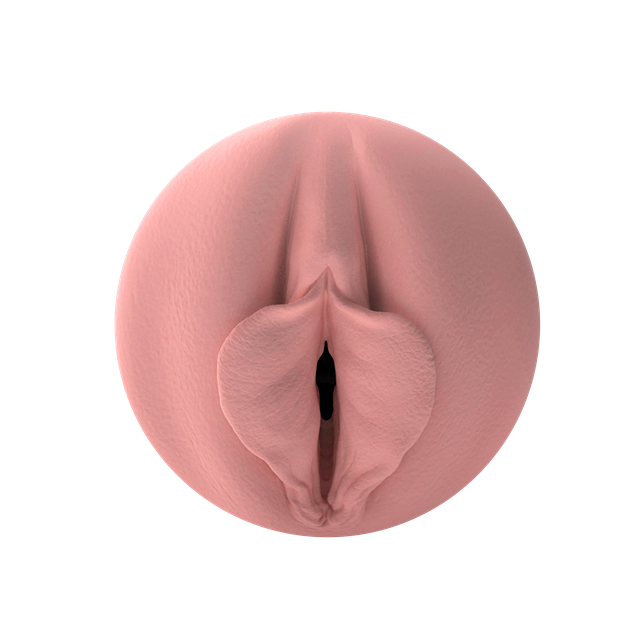 Quiver – Rechargeable Vibrating Stroker