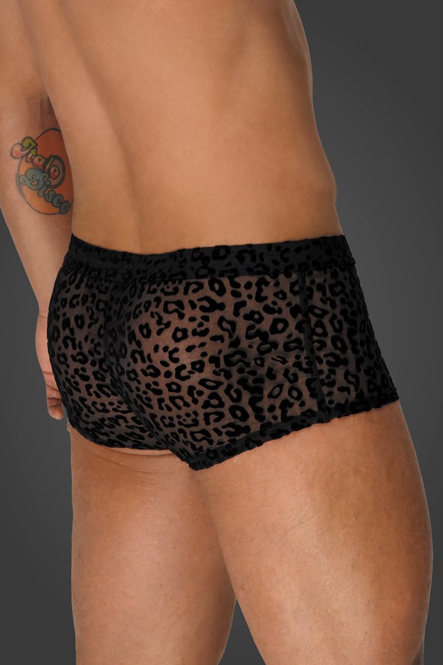 H072 Shorts med Leopardbroderi