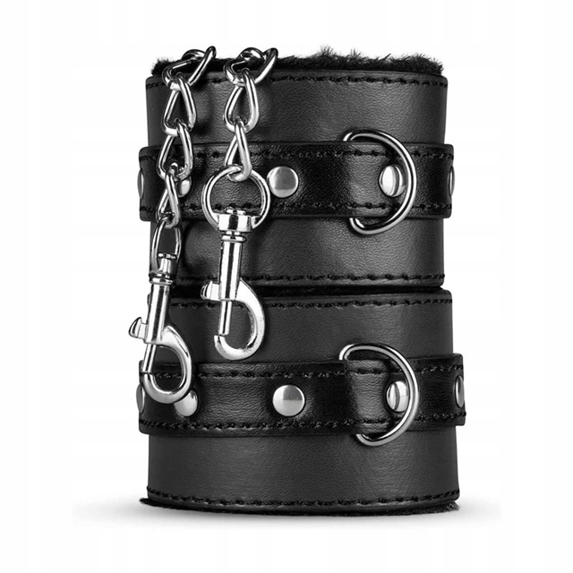 Hidden Desire BDSM Chest