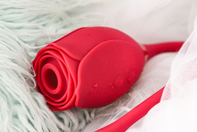 RED ROSE SUCTION + VIBRATING BULLET