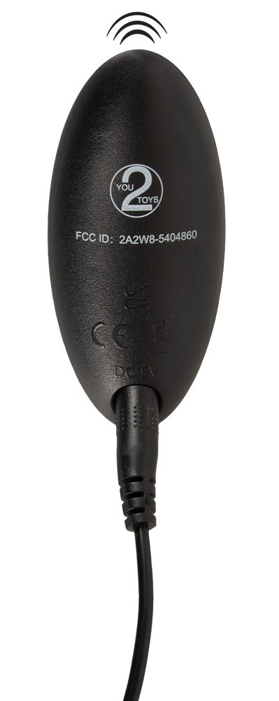 RC Vibrating Egg