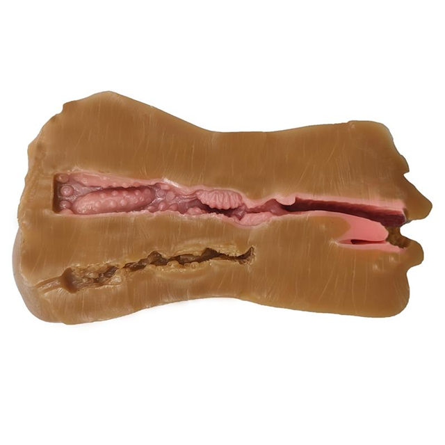 Jess Super Realistic Vagina, Anus & Mouth