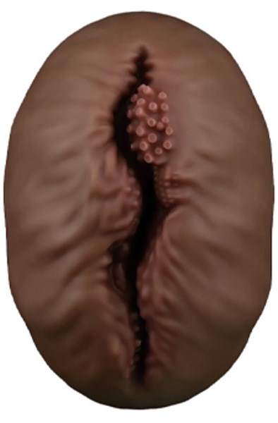 Lovetoy Aliens Pie Masturbator #1 Brown