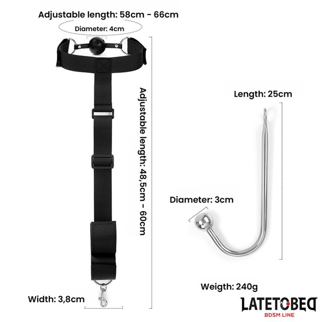 Mouth Gag With Cuffs & Anal Hook