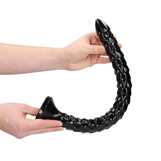 Scaled Anal Snake 40 Cm