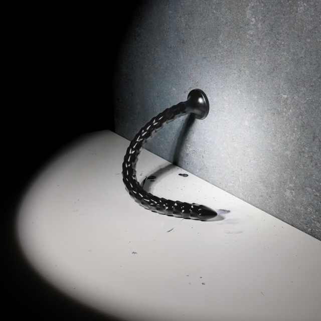 Scaled Anal Snake 50 cm