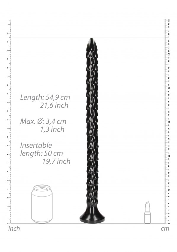 Scaled Anal Snake 50 cm