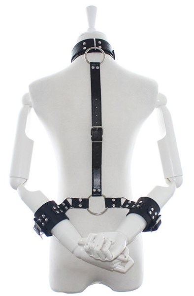 Fetish Addict Collar With Restraints