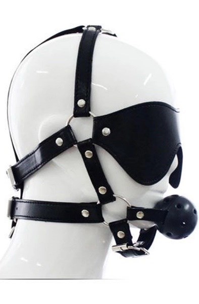 TOYZ4LOVERS Total Head Harness Restraint
