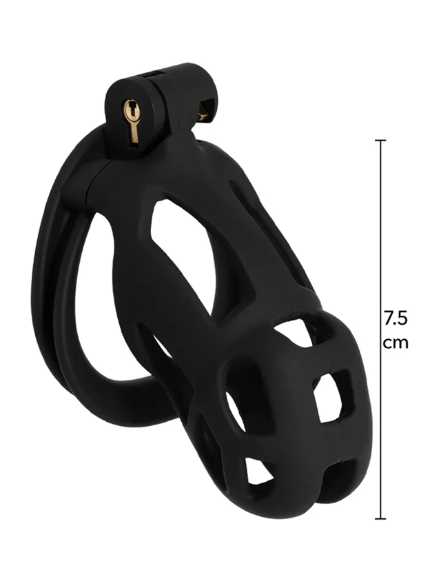 Penis Prison Cock Cage Regular