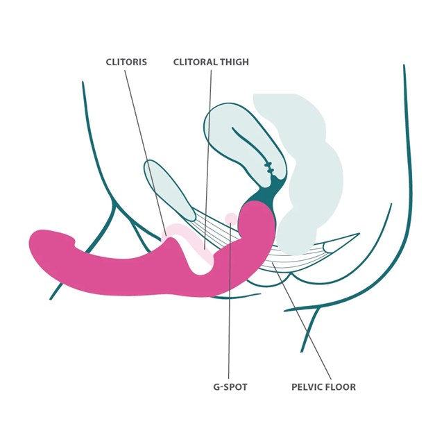 SHARE LITE - Dobbeltdildo - Blackberry