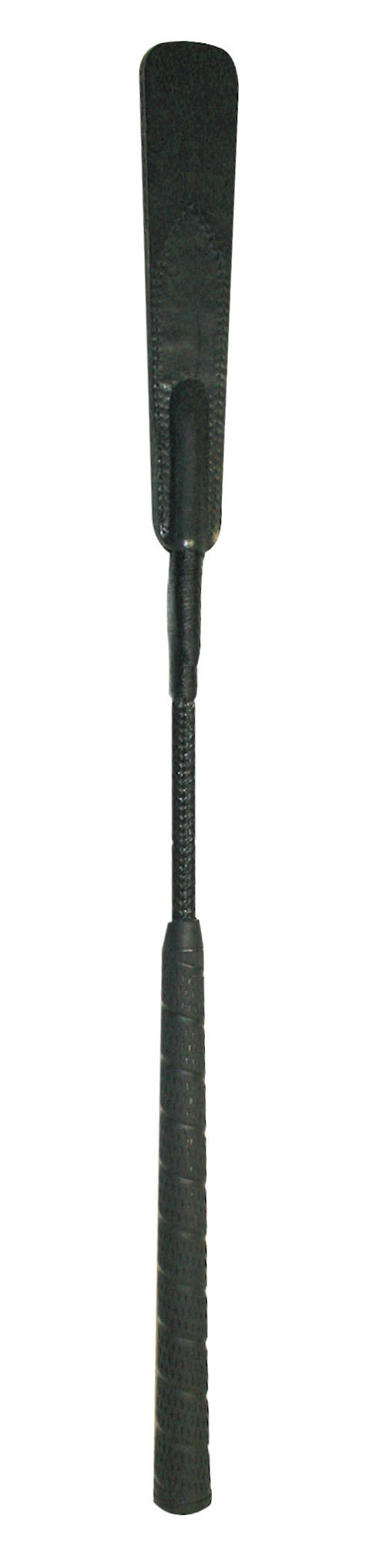 The Motivator Ridepisk
