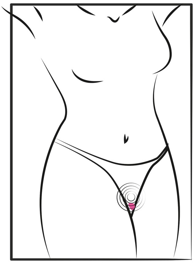 RC Panty Vibrator Heart