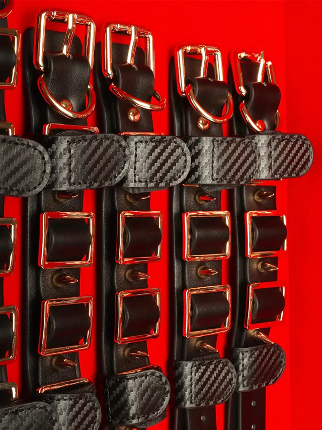 Desires Masterpiece Case