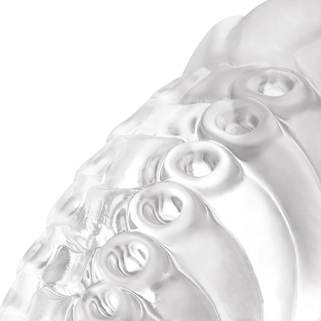 Tentacle Play Jelly Dildo 22 cm