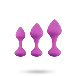 The Anal Plug Set