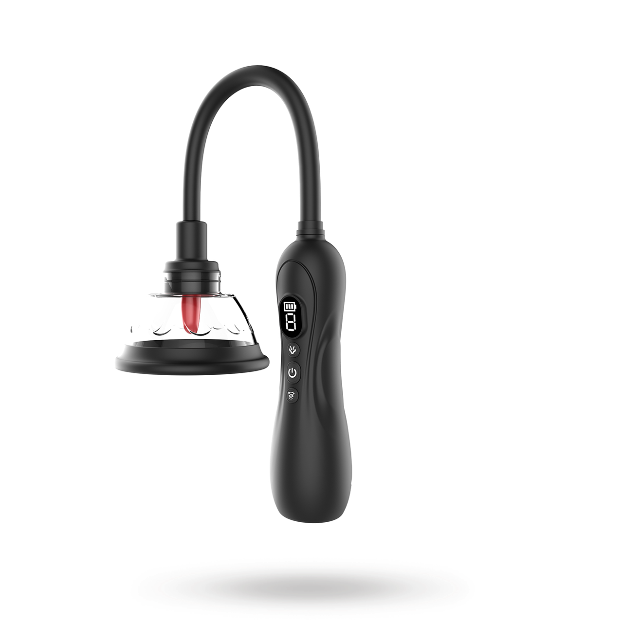 Sustainable Pleasure