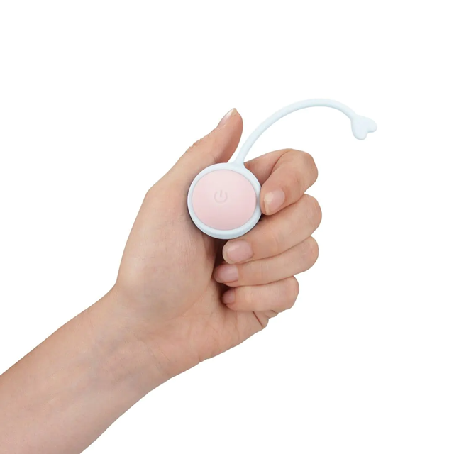 Vibrating and 5 Weight Interchangeable Kegel Kit with RC - Purple