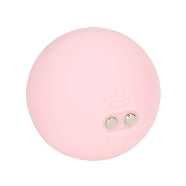 Vibrating and 5 Weight Interchangeable Kegel Kit with RC - Purple