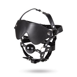 Full Head Blindfold & Ball Gag-sæt