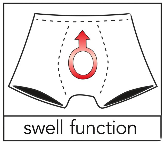 Swell Pants